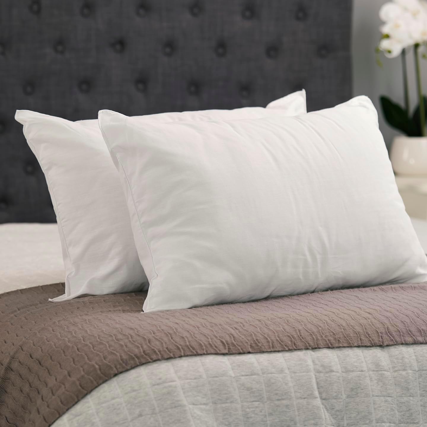 Tontine Good Night Allergy Sensitive Pillow – Medium Height, Medium Softness – Ultrafibre Fill, Bioguard Protection, Cotton Cover – Machine Washable – Australian Made – 2 Pack